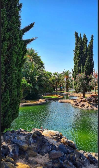 Apartament Casa Di Mateo With Garden View And Swimming Pool Torrevieja Zewnętrze zdjęcie
