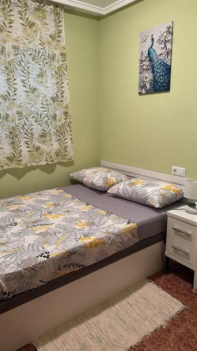 Apartament Casa Di Mateo With Garden View And Swimming Pool Torrevieja Zewnętrze zdjęcie